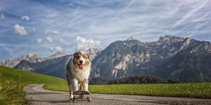 Hundehotel - Besorgung Hundefutter - Spiel und Spaß auf zwei oder vier Beinen - Hotel Grimming Dogs & Friends