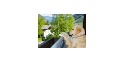 Hundehotel - keine Leinenpflicht im Hotel - Hüttschlag - Hotel Grimming Dogs & Friends