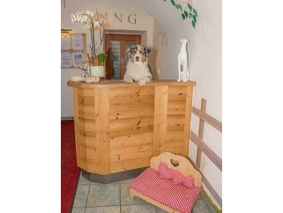 Hundehotel - Hundewiese: eingezäunt - Leogang - Hotel Grimming Dogs & Friends - Hotel Grimming Dogs & Friends