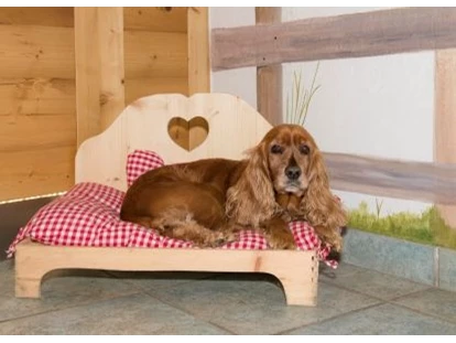 Hundehotel - Verpflegung: All-inclusive Hund - Strub - Hundebett - Hotel Grimming Dogs & Friends