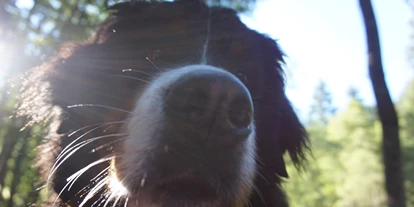 Hundehotel - Hundewiese: nicht eingezäunt - Durach - Hunde willkommen - Der Kleinwalsertaler Rosenhof