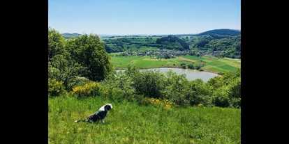 Hundehotel - Trink-/Fressnapf: an der Rezeption - Minden (Eifelkreis Bitburg-Prüm) - Ausblick auf Meerfeld - NaturPurHotel Maarblick