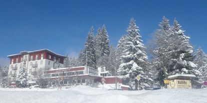 Hundehotel - Umgebungsschwerpunkt: Berg - Lenzkirch - Winter Ansicht - Waldhotel am Notschreipass