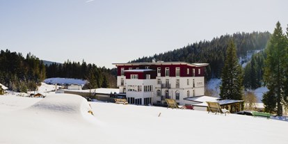 Hundehotel - Klassifizierung: 4 Sterne - PLZ 4410 (Schweiz) - Außenansicht im Winter - Waldhotel am Notschreipass