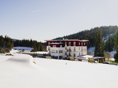 Hundehotel - WLAN - Baden-Württemberg - Außenansicht im Winter - Waldhotel am Notschreipass