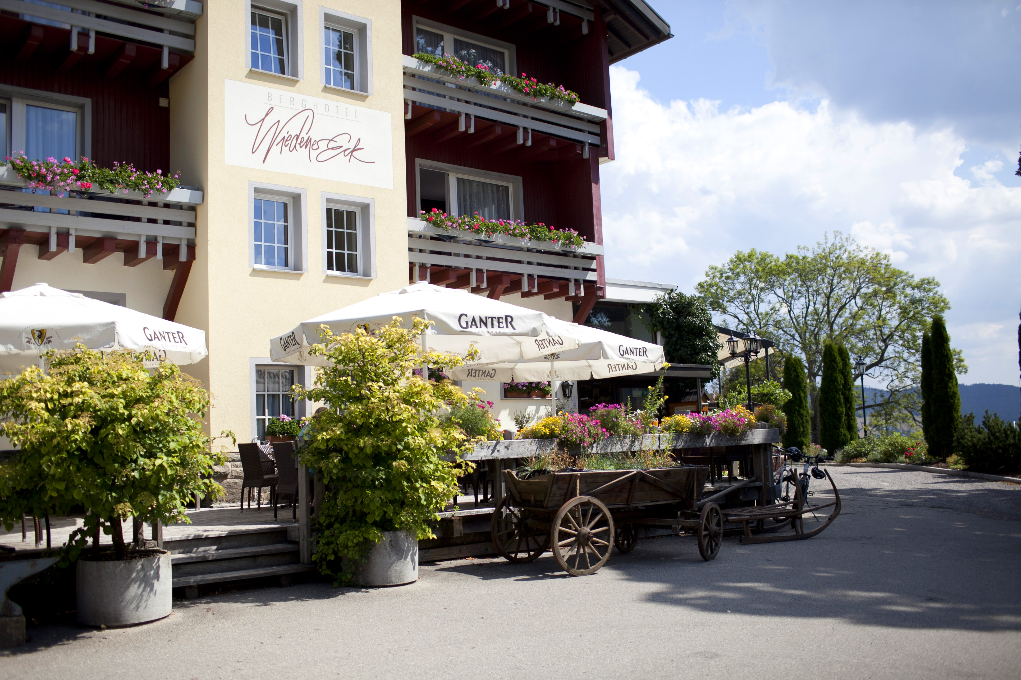 Hundehotel: Sonnenterrasse und Biergarten - Berghotel Wiedener Eck