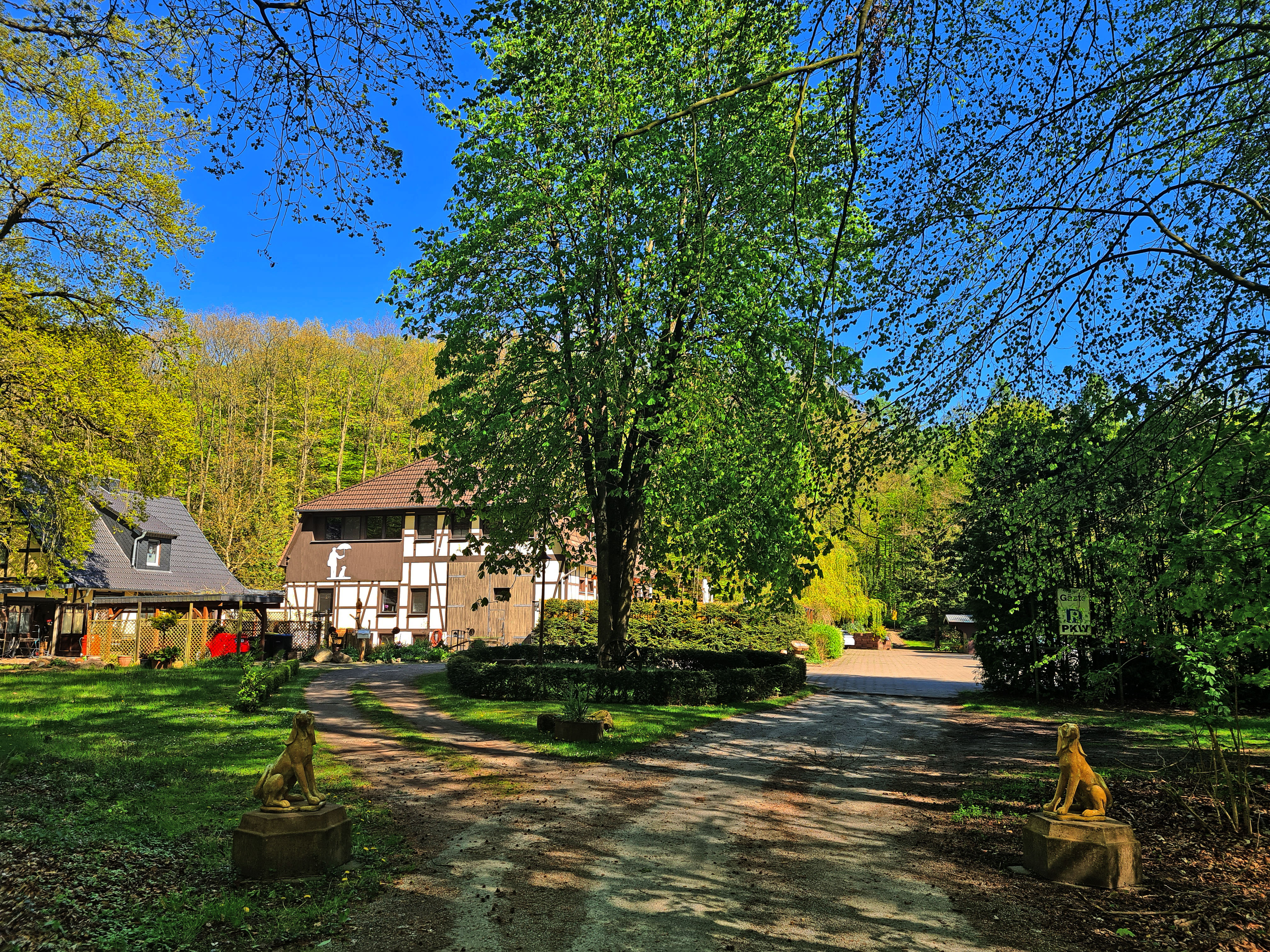 Urlaub-mit-Hund - Dat Waldhus - 6 Unterkünfte allein im Wald - Dat Waldhus