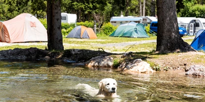 Hundehotel - Pools: Außenpool nicht beheizt - Sand in Taufers - Caravan Park Sexten
