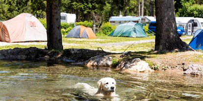 Hundehotel - Doggies: 4 Doggies - Südtirol - Caravan Park Sexten