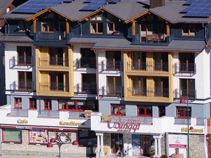 Hundehotel - Umgebungsschwerpunkt: am Land - Unterberg (Großarl, Dorfgastein) - Hotel Binggl Obertauern