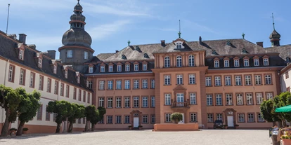 Hundehotel - Umgebungsschwerpunkt: See - Olsberg (Hochsauerlandkreis) - Schloss Bad Berleburg - Hotel Alte Schule