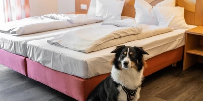 Hundehotel - Hundewiese: nicht eingezäunt - Mögglingen - Hotel Restaurant Talblick