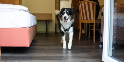 Hundehotel - Hundewiese: nicht eingezäunt - Öpfingen - Hotel Restaurant Talblick
