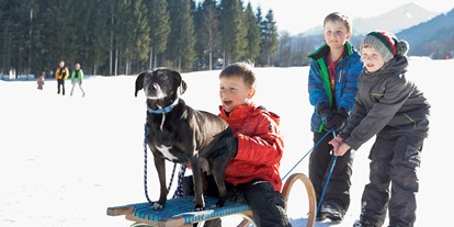 Hundehotel - Hund im Restaurant erlaubt - PLZ 5563 (Österreich) - Urlaub mit Hund - Feriendorf Holzleb'n