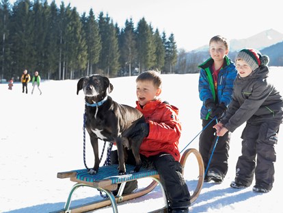 Hundehotel - Hund im Restaurant erlaubt - Urlaub mit Hund - Feriendorf Holzleb'n
