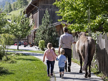 Hundehotel - Umgebungsschwerpunkt: Berg - Großarl - Spaziergang mit den Ponys - Feriendorf Holzleb'n