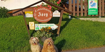 Hundehotel - Trink-/Fressnapf: vor dem Haus - Maierhöfen (Landkreis Lindau) - Ferienwohnung mit Hund im Allgäu
 - Landhaus Jörg