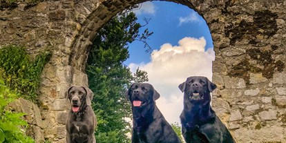 Hundehotel - Doggies: 6 Doggies - Konzell - Natur-Hunde-Hotel Bergfried