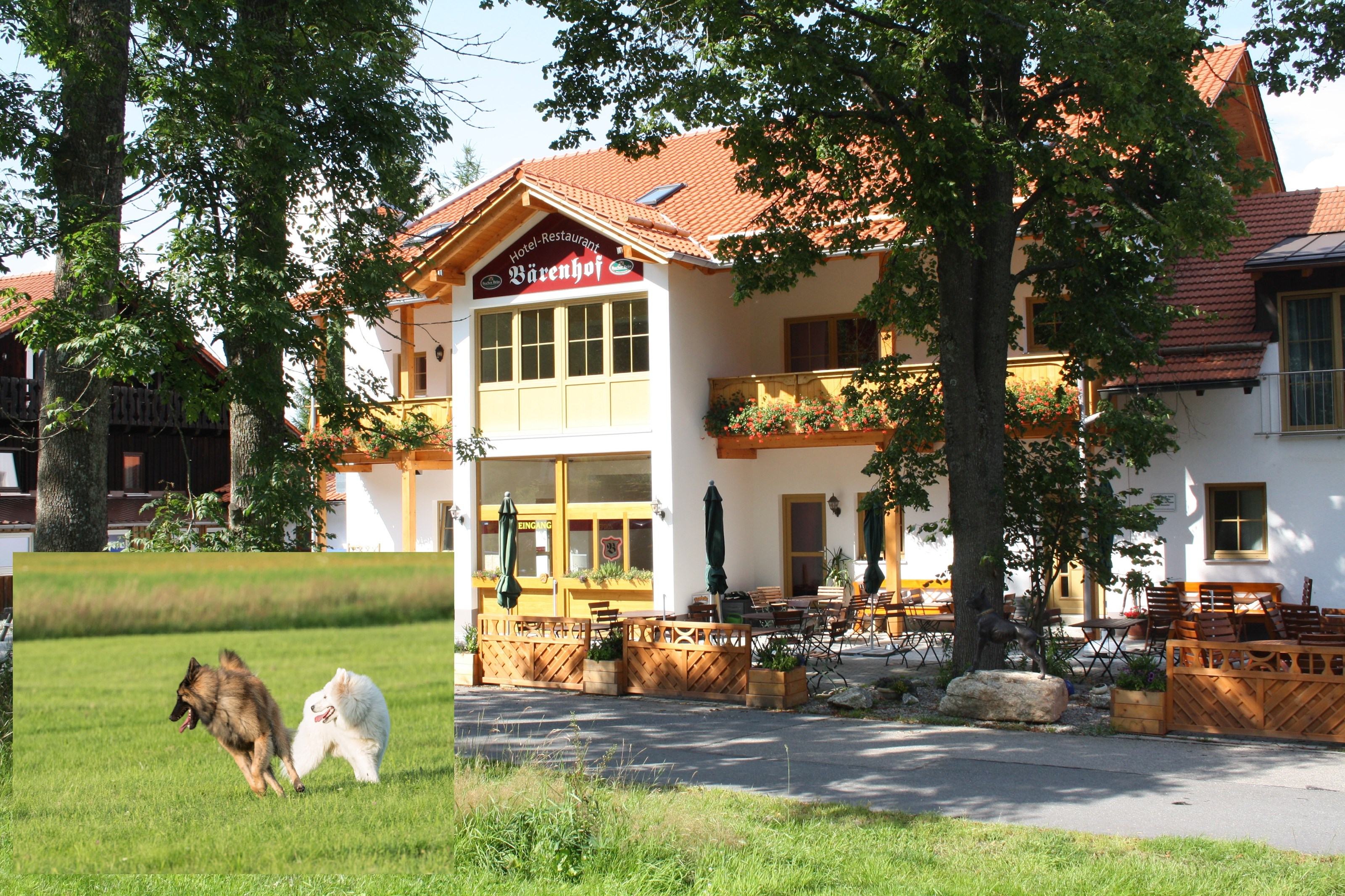 Hundehotel: Hotel Bärenhof