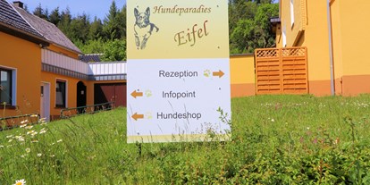 Hundehotel - Hundewiese: eingezäunt - Pantenburg - Ferienhäuser Hundeparadies Eifel