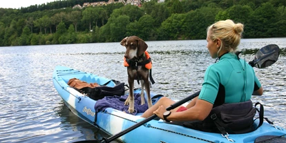 Hundehotel - Hundewiese: eingezäunt - Basberg - Ferienhäuser Hundeparadies Eifel