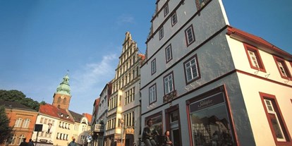 Hundehotel - Preisniveau: günstig - Altstadt - Kurvilla Fürstin Pauline
