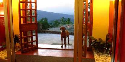 Hundehotel - keine Leinenpflicht im Hotel - Aussicht vom Hoteleingang - Hotel Rifugio Prategiano Maremma Toskana
