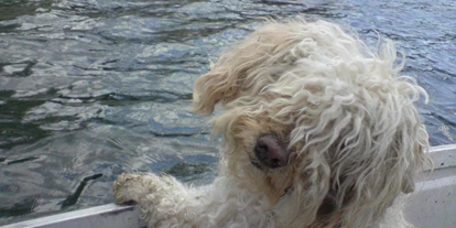 Hundehotel - Bademöglichkeit für Hunde - Predazzo - Unsere Leihboote haben auch Platz für die felligen Matrosen. - Hotel Sport