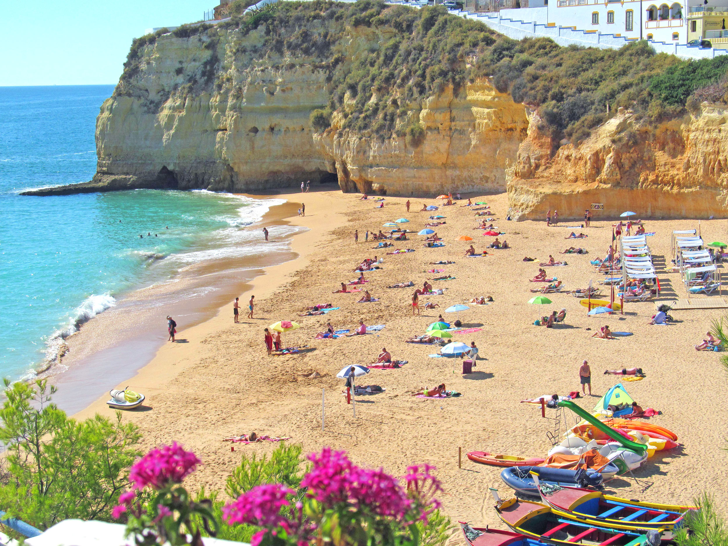 Urlaub-mit-Hund - Schöner Strand - Monte Dourado Flat