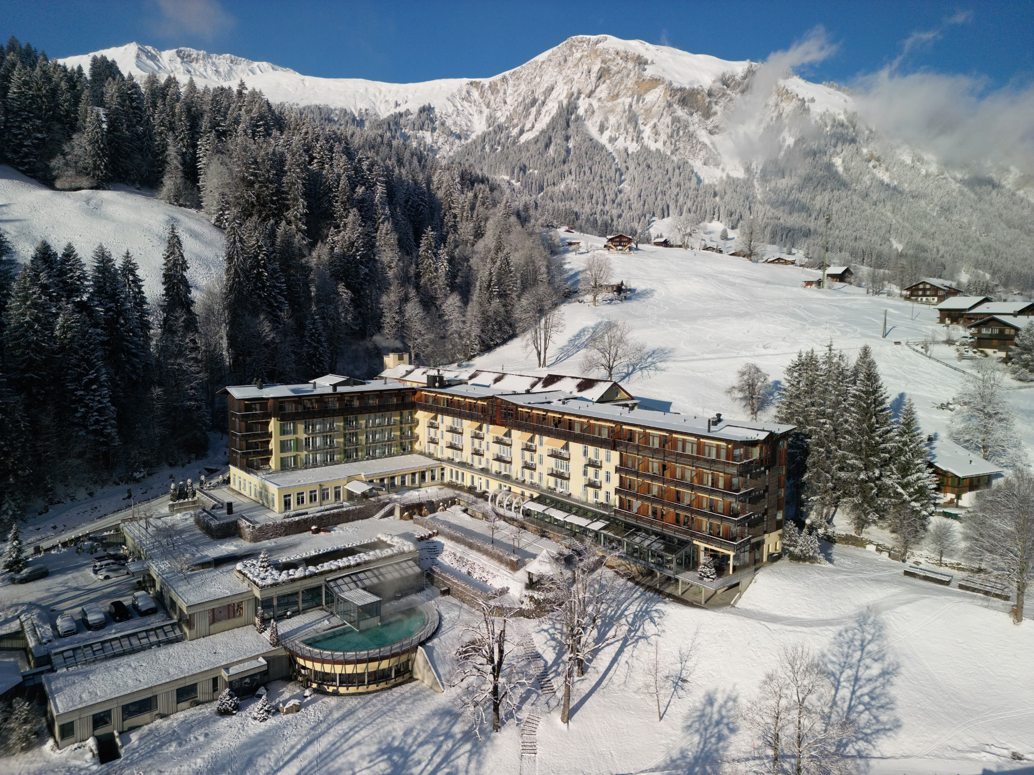 Urlaub-mit-Hund - Lenkerhof gourmet spa resort - Relais & Châteaux