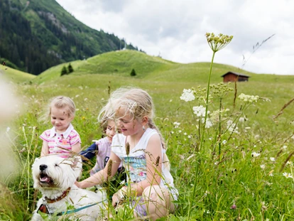 Hundehotel - Doggies: 3 Doggies - Sulzberg (Landkreis Oberallgäu) - Ausflüge für die ganze Familie - Familotel Kaiserhof****