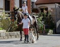 Urlaub-mit-Hund: Reiten auf Gut Feuerschwendt - Gutshotel Feuerschwendt im Bayerischen Wald