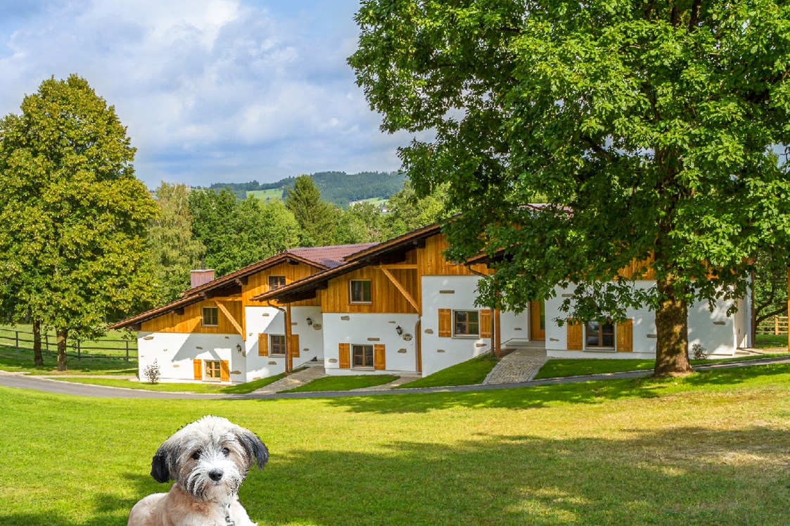 Urlaub-mit-Hund: Hotelanlage Gut Feuerschwendt - Gutshotel Feuerschwendt im Bayerischen Wald