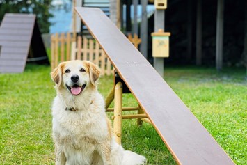 Urlaub-mit-Hund: Stacey - Agility Spielplatz - Wippe - Almdorf Seinerzeit