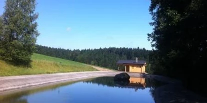 Hundehotel - Pools: Schwimmteich - Hunde-Badeteich - Hotel Schwarz Alm Zwettl