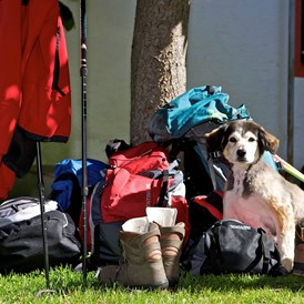 Urlaub-mit-Hund: Wander Eldorado für Vierbeiner - Hotel Aloisia