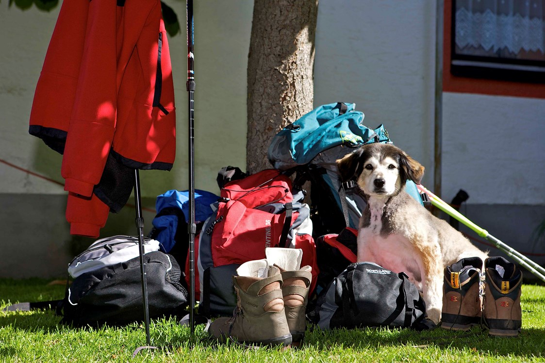 Urlaub-mit-Hund: Wander Eldorado für Vierbeiner - Hotel Aloisia