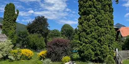 Hundehotel - Tauplitz - Hotel Aloisia
