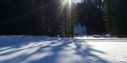 Hundehotel - Tauplitz - Hotel Aloisia