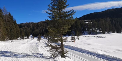 Hundehotel - Tauplitz - Hotel Aloisia
