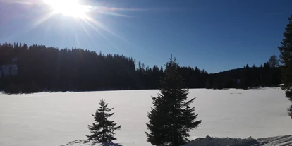 Hundehotel - Tauplitz - Hotel Aloisia