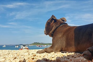 Urlaub-mit-Hund: öffentlicher Kiesstrand - VILCAM - Urlaub am Meer mit Herz und Hund