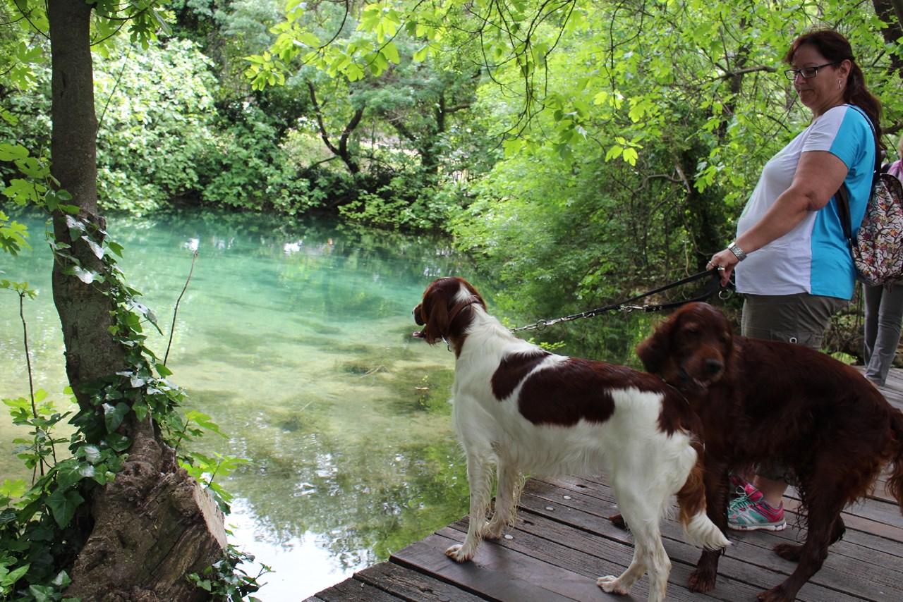 VILCAM - Urlaub am Meer mit Herz und Hund Ausflüge mit Hund Krka Wasserfälle