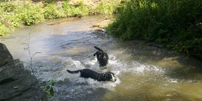 Hundehotel - Doggies: 3 Doggies - Landidyll-Hotel Nudelbacher