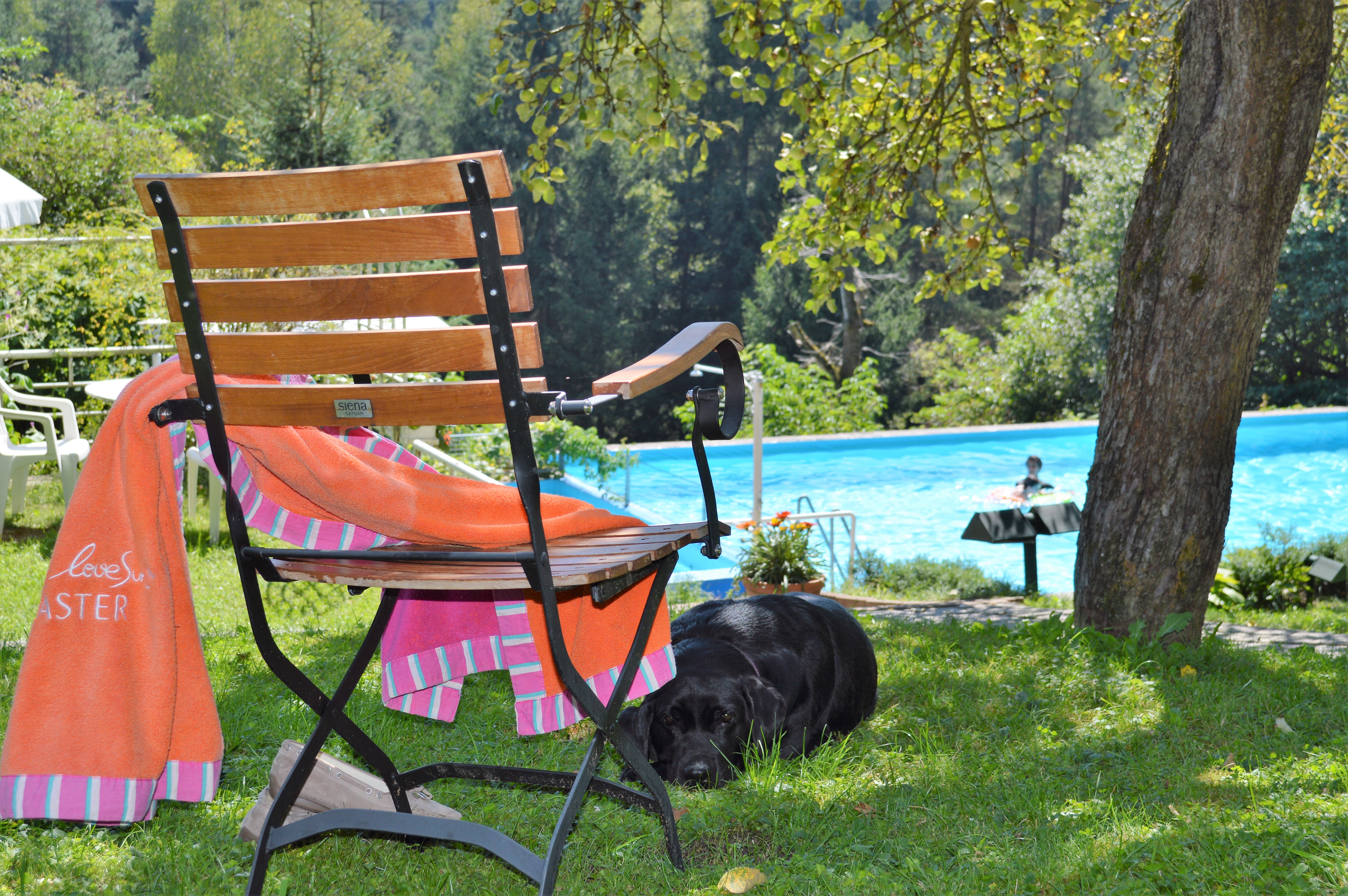 Hundehotel - Kärnten - Garten und Outdoor-Pool - Landidyll-Hotel Nudelbacher