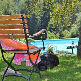 Urlaub-mit-Hund: Garten und Outdoor-Pool - Landidyll-Hotel Nudelbacher