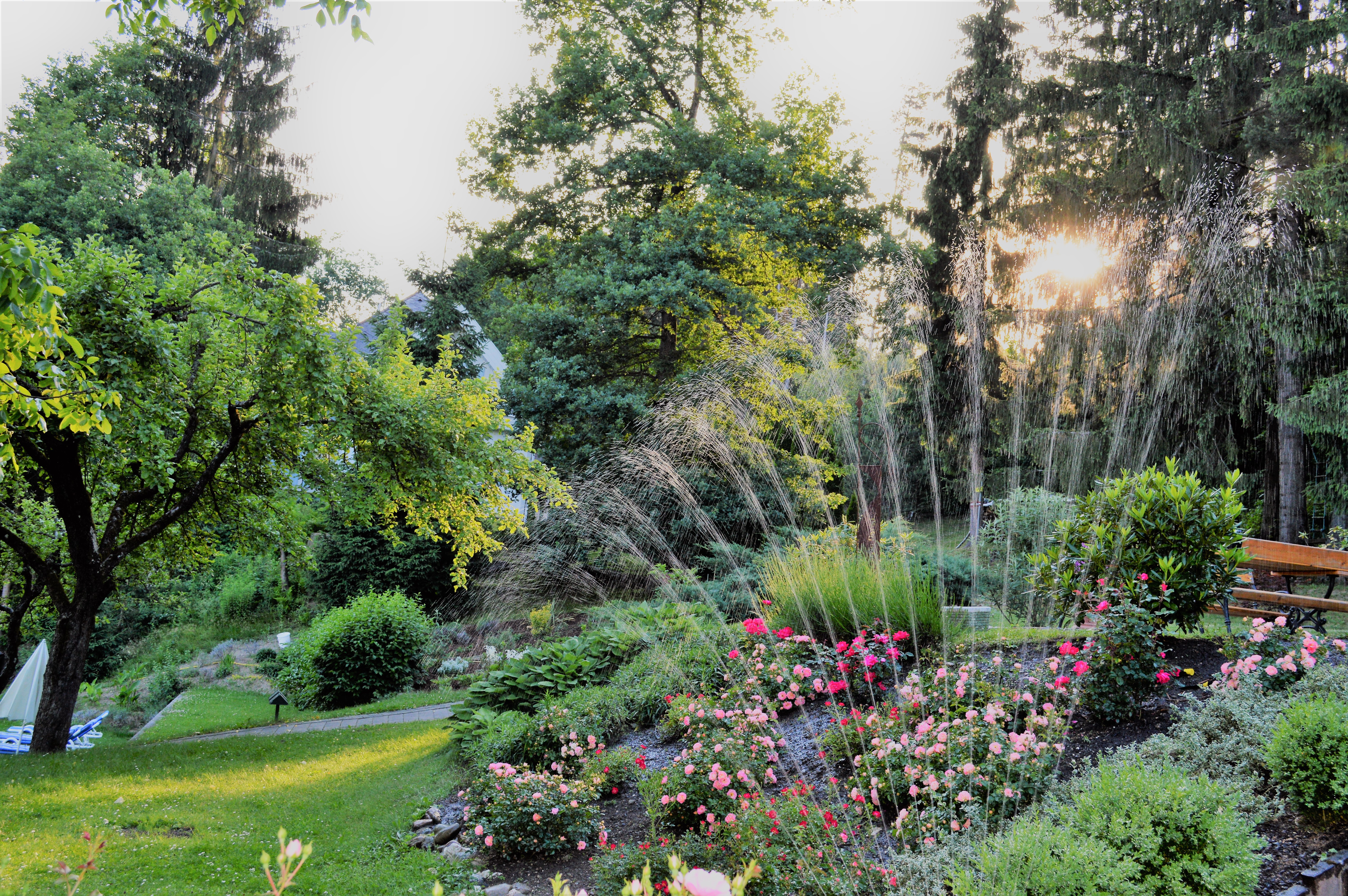 Hundehotel - Kärnten - Gartenansicht - Landidyll-Hotel Nudelbacher