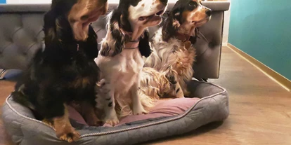 Hundehotel - Doggies: 3 Doggies - Auch mehrere Hunde sind Willkommen! - Bio Hotel & Restaurant Schwarzer Bock