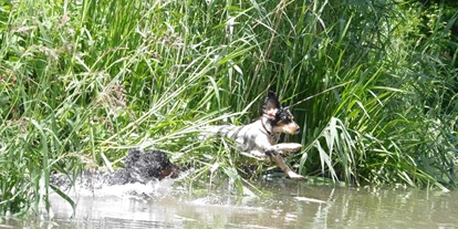 Hundehotel - Doggies: 3 Doggies - Direkt vor der Haustür ist die fränkische Rezat - Abkühlung im Sommer, aber Achtung, mitten in der Stadt gibt es viele Strassen: Gehorsam oder Leine ist Pflicht zum Wohl des Hundes. - Bio Hotel & Restaurant Schwarzer Bock