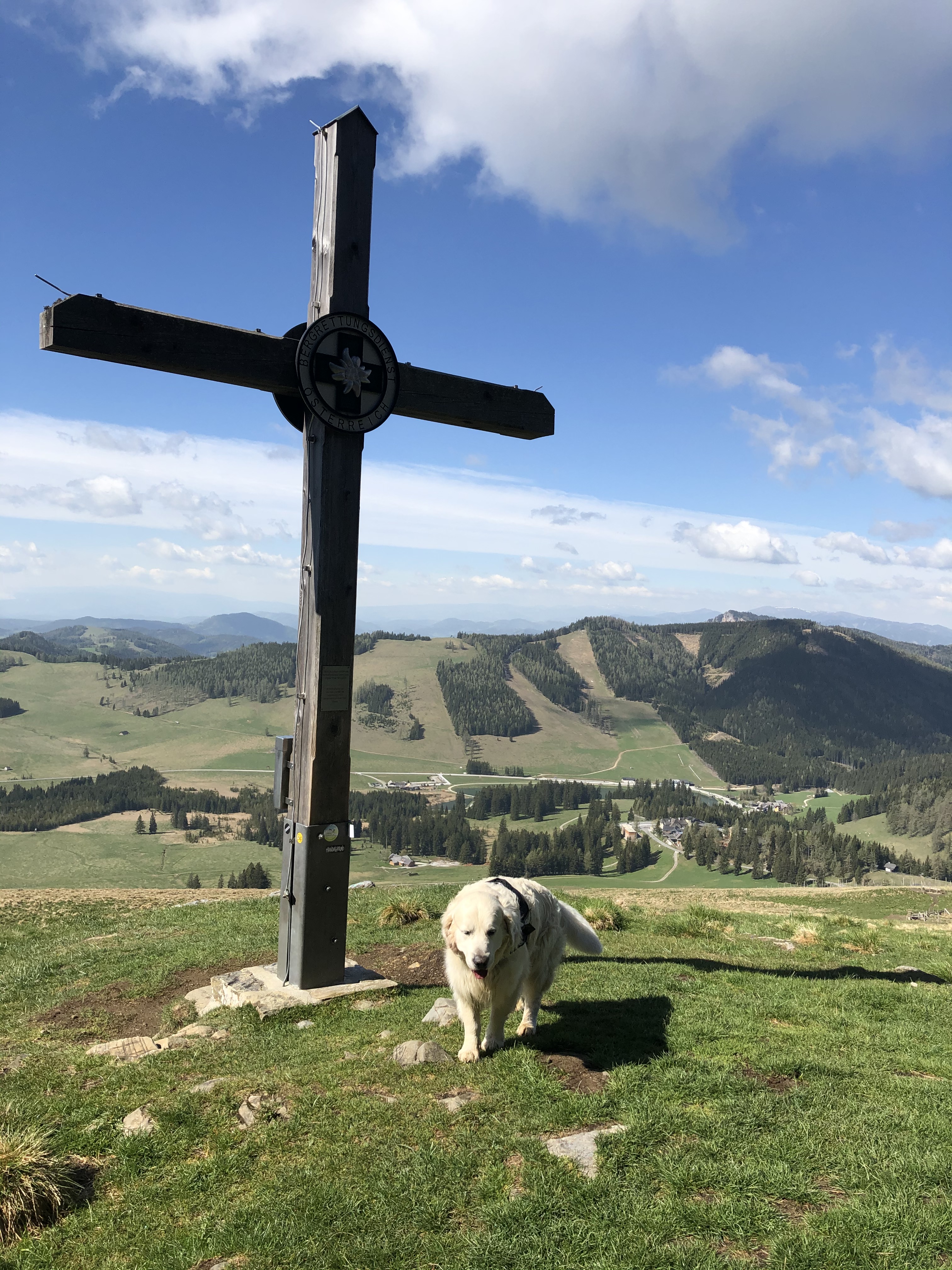 Hundehotel - PLZ 8054 (Österreich) - Hotel Teichwirt